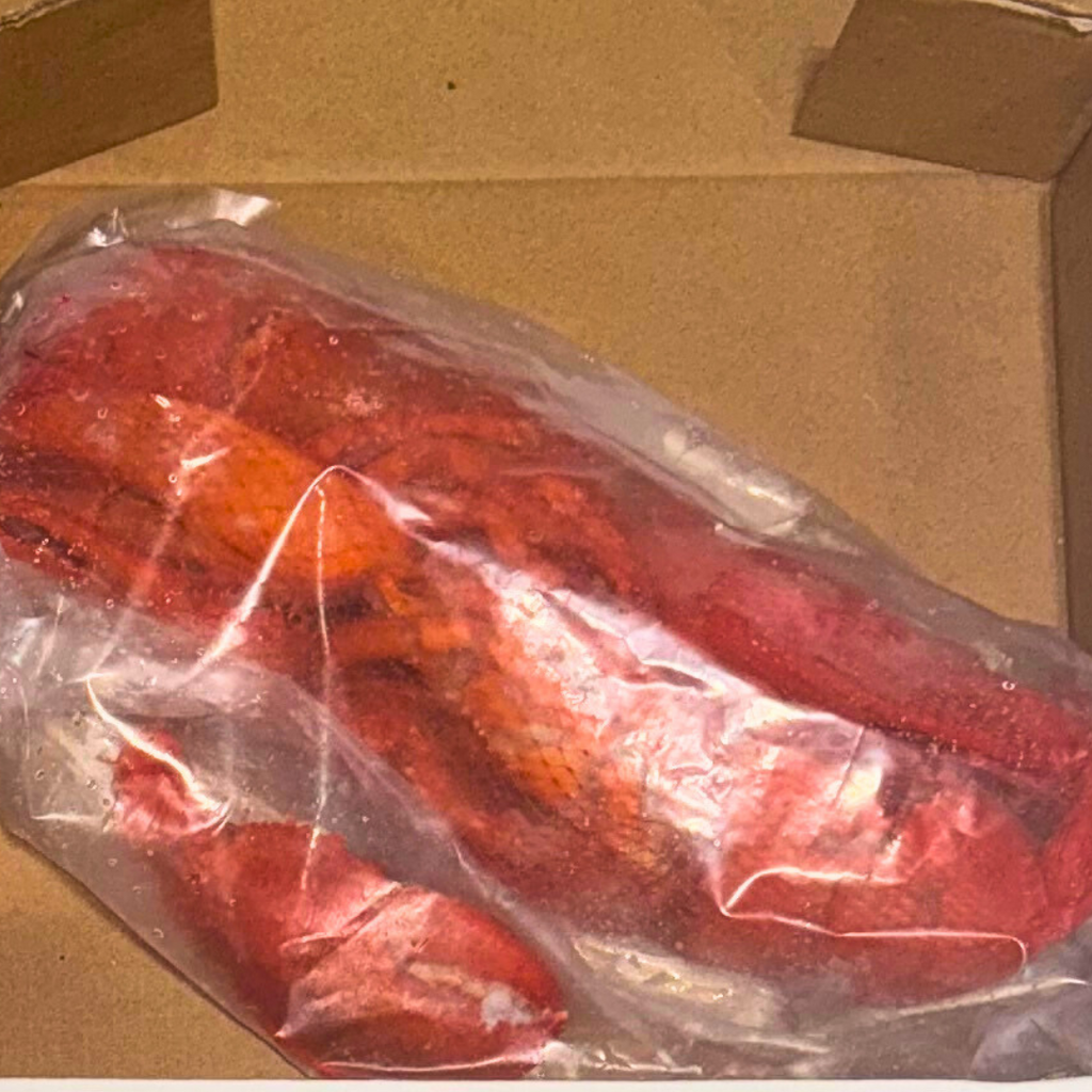 Whole Cooked Lobster